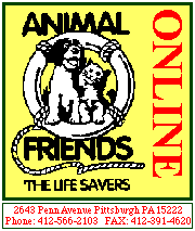 Animal Freinds