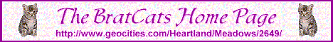 brat cats banner