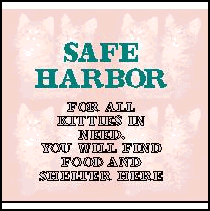 safe harbor campaign